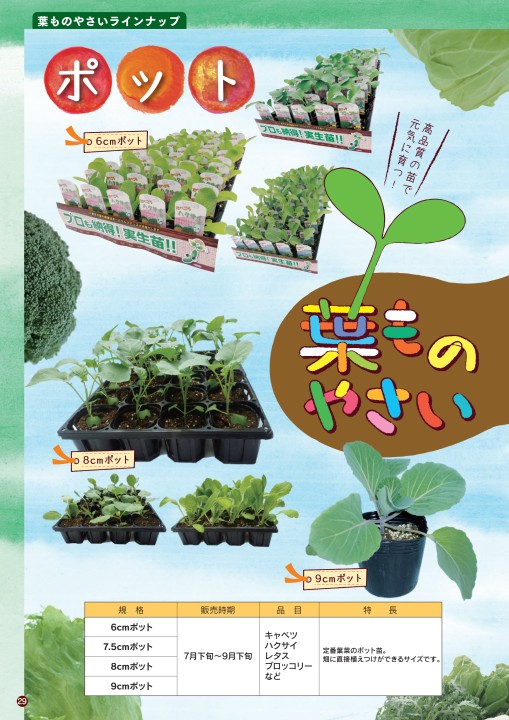 ベルグアース商品カタログvol6